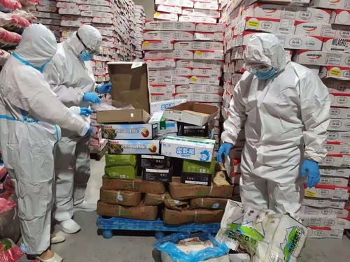 烏蘭察布市場監(jiān)管局強化進口冷鏈食品與奶制品監(jiān)管，突擊檢查批發(fā)及進出口環(huán)節(jié)